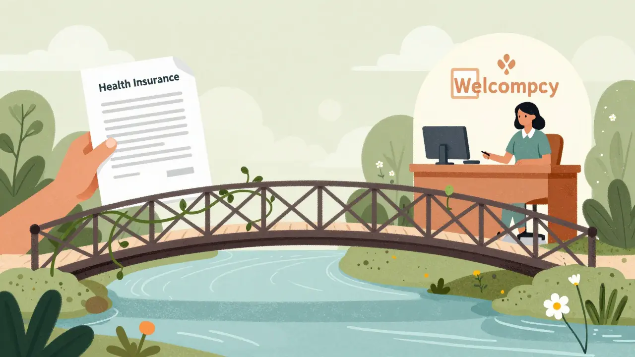 Ilustrace mostu spojujícího pojišťovnu a terapeutickou pomoc v dekorativním stylu.